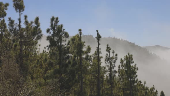 El Teide in Tenerife Covered in Mist alt