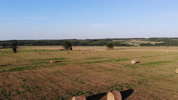 5 Field With Hay Rolls