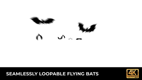 Flying Bats Silhouette