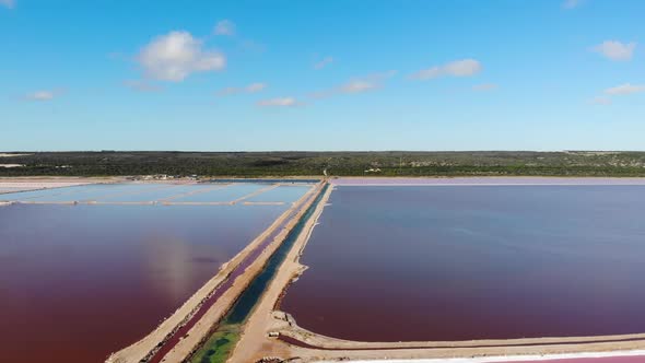 Aerial View of a Pink Lake