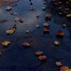 Rain Above Asphalt Road On A Autumn Season - VideoHive Item for Sale