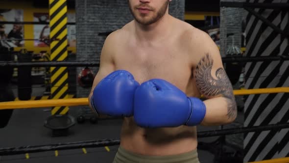 Portrait of a Muscular Male Boxer in Boxing Gloves in Ring alt