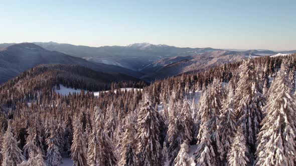 Aerial View of Winter Mountain Forest Valley