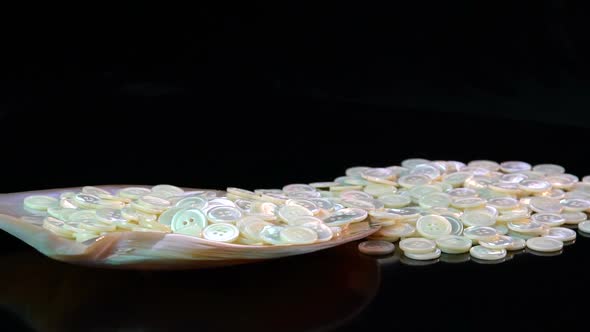 Shell And Pearl Buttons alt