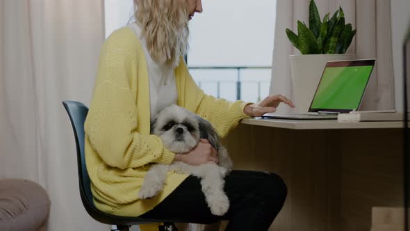 Woman Freelancer Work at Laptop with Chroma Key Screen at Desk Dog Sits on Owner Knees Rbbro alt