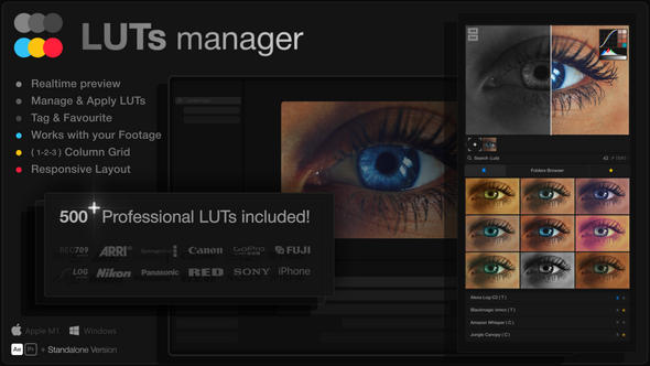LUTs Manager: Real-Time Bulk Previews Tool & 500 LUTs for Effortless Professional Color Grading Elements template preview