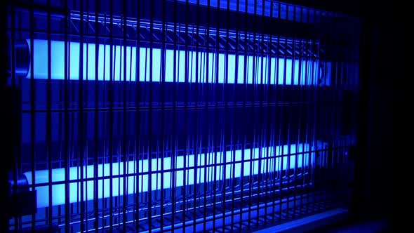 Passing Bug Zapper In The Dark alt