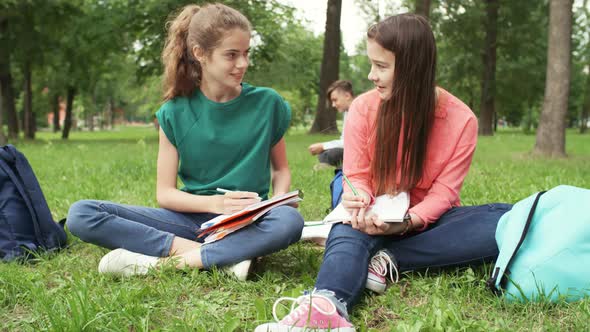 Schoolgirls Doing Homework in Park alt
