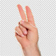 Hand Gestures - Peace Sign - VideoHive Item for Sale