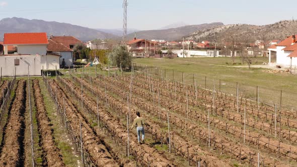 Young girl dressed casually walking on muddy areas amidst grape vineyard in beautiful suburbs. Podgo alt