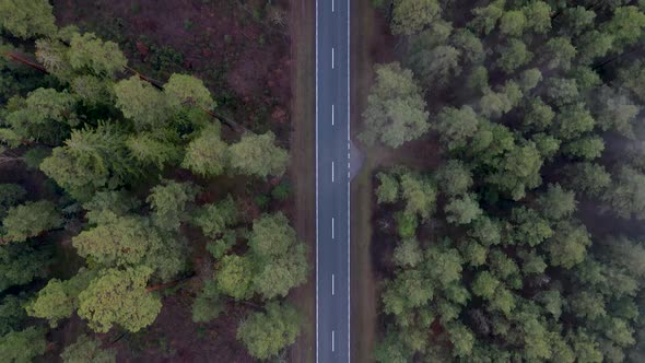 Aerial Autumn Road