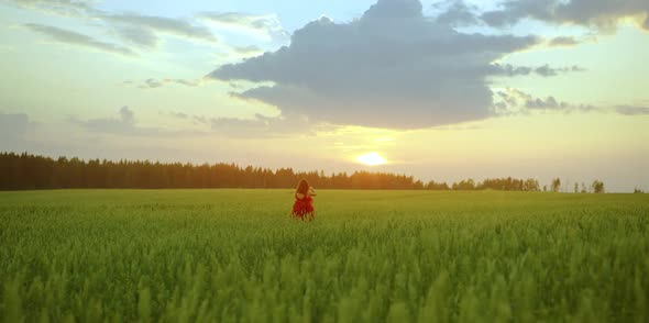 A Girl in a Red Dress is Playing a Violin in the Middle of a Field