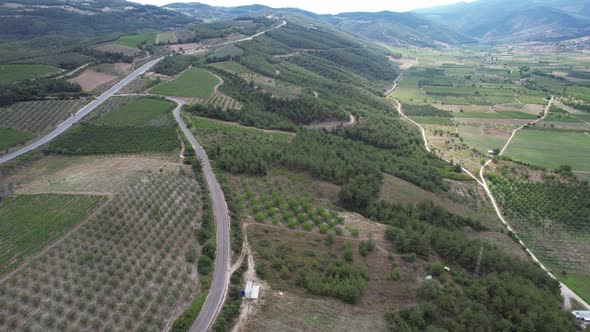 Aerial Farmland Field alt