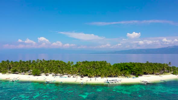 Summer Beach Landscape. Tropical Island View, Palm Trees with Amazing Blue Sea. Digyo Island alt