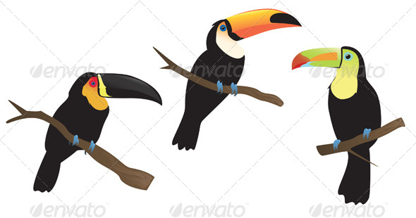 Toucans - Animals Characters