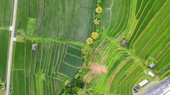 Jatiluwih Tabanan Bali Aerial View
