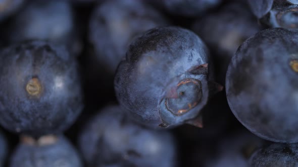 Close Up Of Blueberries Spinning 