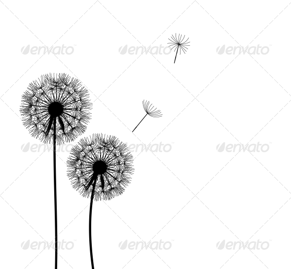Abstract Dandelion Background - Flowers & Plants Nature
