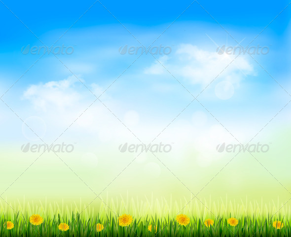 Summer Gaze Background with Blue Sky - Flowers & Plants Nature