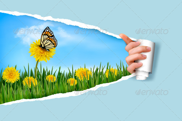 Ripped Paper Background with Dandelions - Flowers & Plants Nature