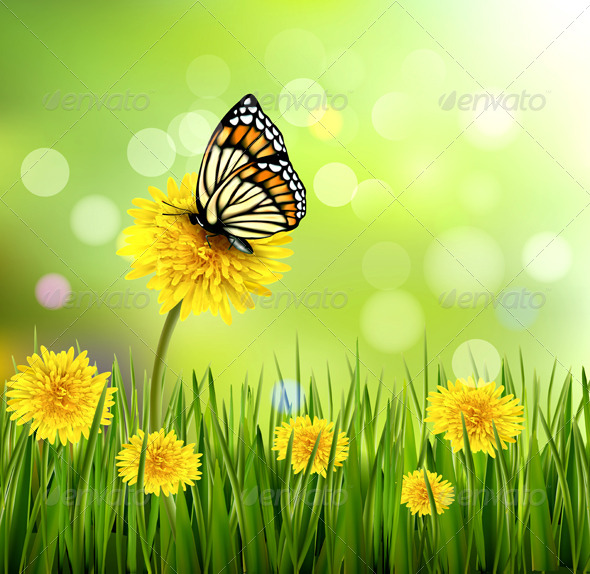 Green Summer Background with Dandelions - Flowers & Plants Nature