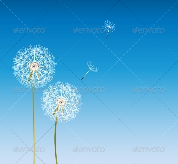 Abstract Dandelion Background Vector Illustration - Flowers & Plants Nature