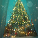 Christmas Color Luts And Overlays Pack V2 MOGRT Christmas Color Luts And Overlays Pack V2 MOGRT - VideoHive Item for Sale