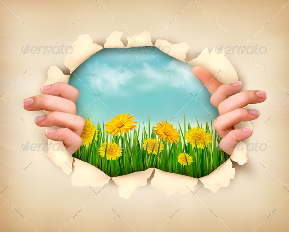 Retro Nature Background with Grass and Flowers - Flowers & Plants Nature