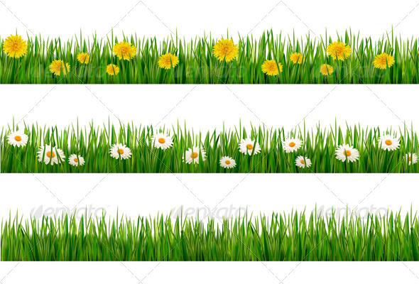 Three Nature Backgrounds of Green Grass - Flowers & Plants Nature