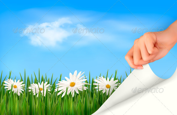 Nature Background with Green Grass Daisies - Nature Conceptual