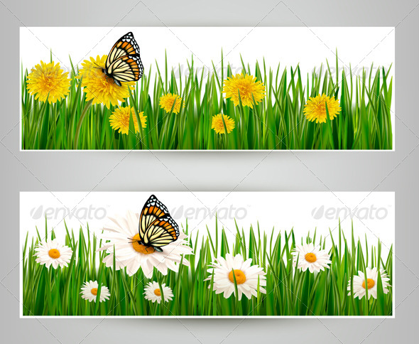 Two Banners with Butterflies and Flowers - Flowers & Plants Nature