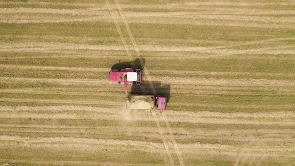 Combine Harvester Collecting Mown Grain Hay And Pours It Into Tractor Trailer alt