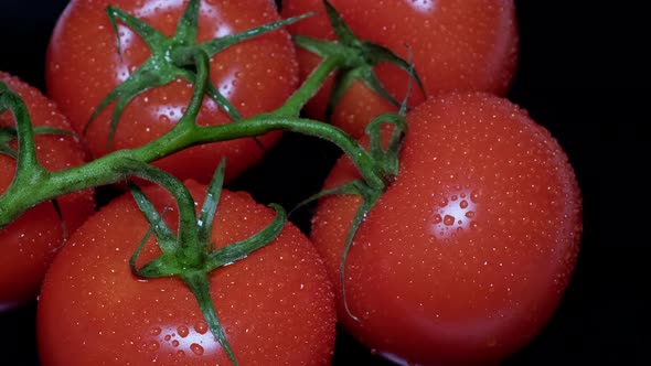 Closeup of a Bunch of Fresh Tomatoes with a Green Stem and Drops of Water alt