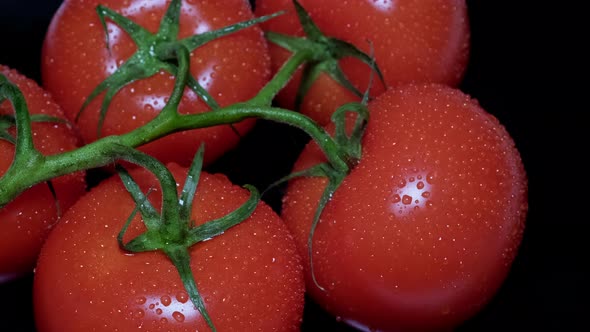 Closeup of a Bunch of Fresh Tomatoes with a Green Stem and Drops of Water