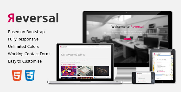 Exceptional Reversal - Responsive One-Page Template