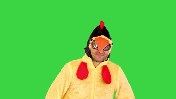 Young Artist in Chicken Costume Tries to Entertain Audience Showing Thumbs Up Taking Different Poses