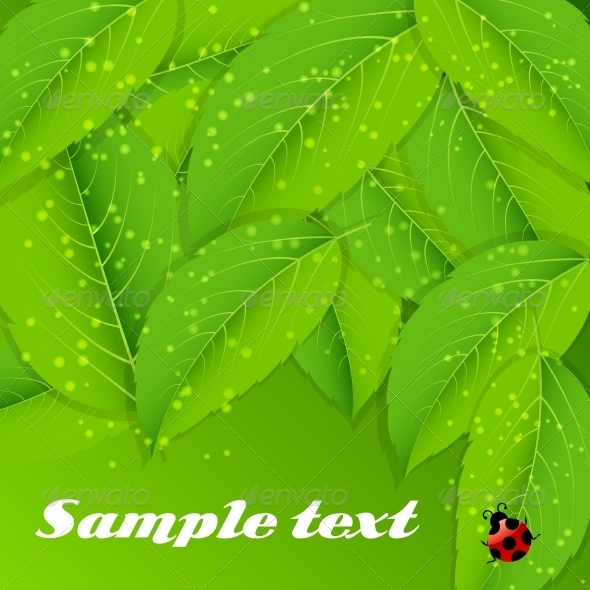 Abstract Nature Background with Leaves - Flowers & Plants Nature