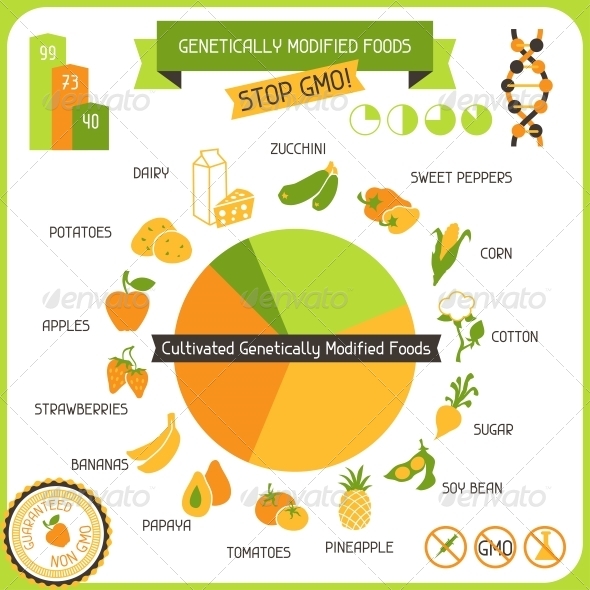 Information Poster Genetically Modified Foods By Incomible | GraphicRiver