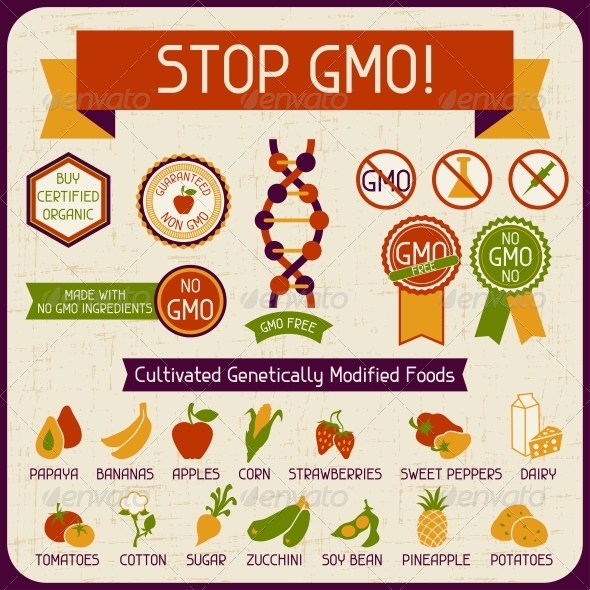 Information Poster Stop GMO! - Food Objects