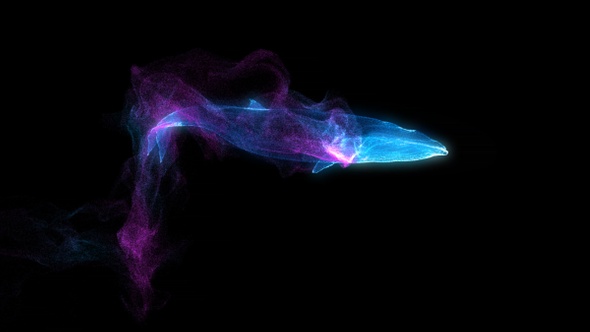 Humpback Whales Particle Flow 02