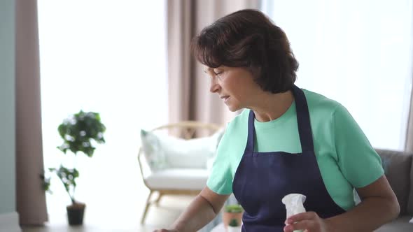 Old American Housewife Clean Table Standing in Apartment Interior. alt