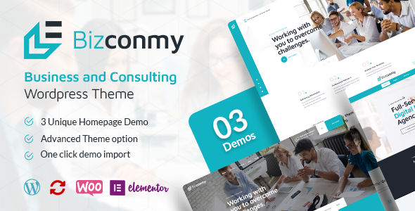 Bizconmy - Business and Consulting WordPress Theme