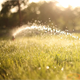 Watering The Lawn - VideoHive Item for Sale
