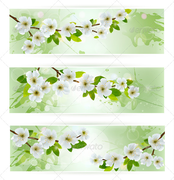 Three Nature Banners with Blossoming Tree Branches - Flowers & Plants Nature