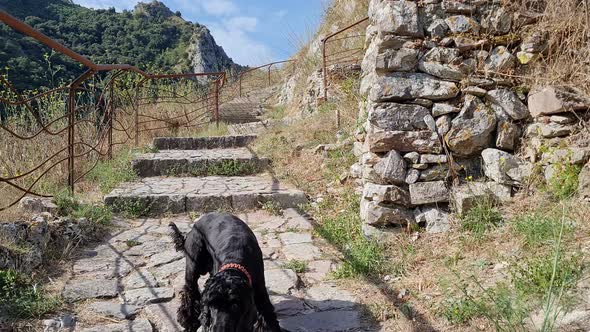 Walking through the abandoned medieval village St. Severino of Centola, Italy. Personal Perspective alt