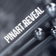 Pinart Reveal - VideoHive Item for Sale