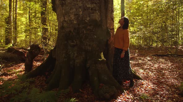 Young Woman is Looking at the Majestic Tree Trunk with Admiration and Smiling