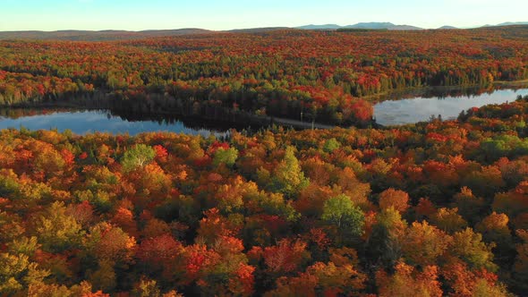 Aerial Footage Orbiting around causeway between two ponds with full ...