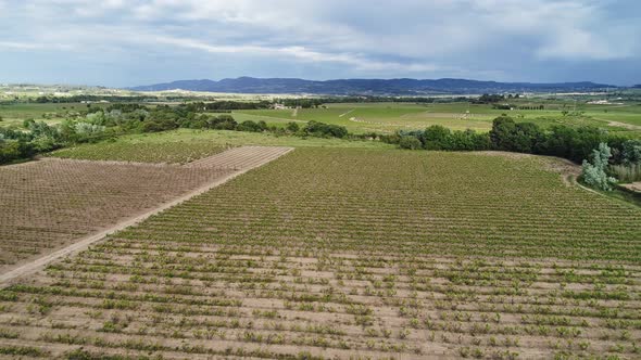Aerial View of Vineyards in Penedes Catalonia Spain