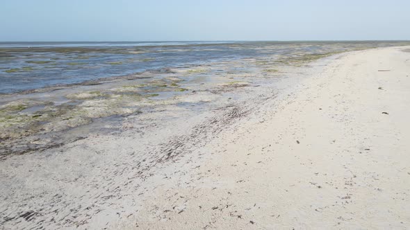 Ocean at Low Tide Near the Coast of Zanzibar Island Tanzania Slow Motion alt